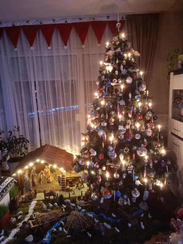 'Mogu osjetiti miris borovine i svježeg zraka'. Neke jelke oduševile žiri, neke malo naljutile