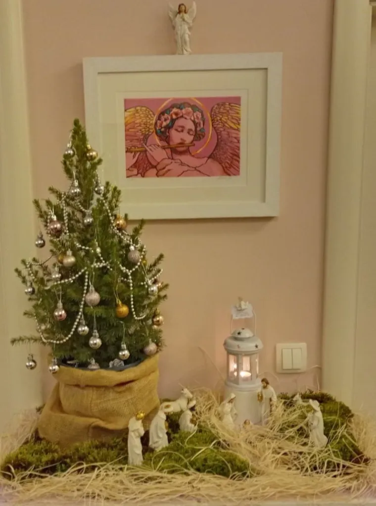 'Mogu osjetiti miris borovine i svježeg zraka'. Neke jelke oduševile žiri, neke malo naljutile