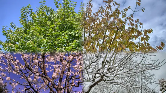 [KVIZ] Svi moraju imati sve točne odgovore na pitanjima o godišnjim dobima