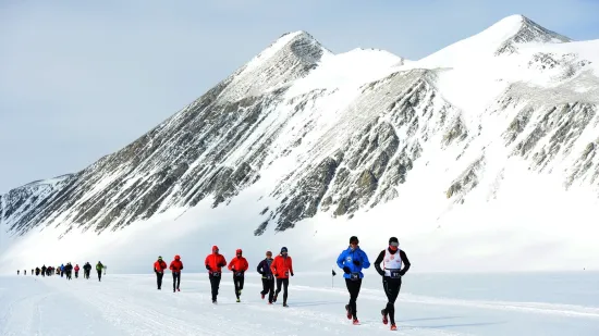 Da, dobro vidite! Trče na jakom vjetru i temperaturi od -15 Celzijevih stupnjeva