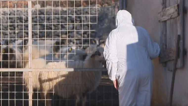 RTL u mjestu gdje je otkrivena kuga: 'Ne mogu se pomiriti s time &scaron;to su napravili'