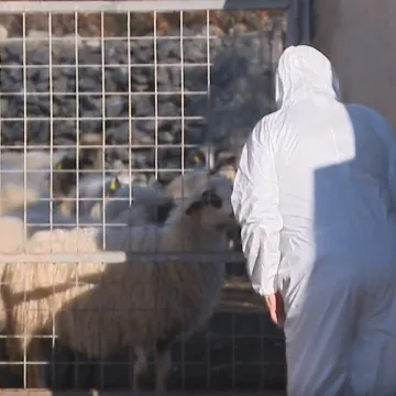 RTL u mjestu gdje je otkrivena kuga: 'Ne mogu se pomiriti s time &scaron;to su napravili'