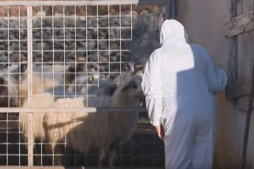 RTL u mjestu gdje je otkrivena kuga: 'Ne mogu se pomiriti s time &scaron;to su napravili'