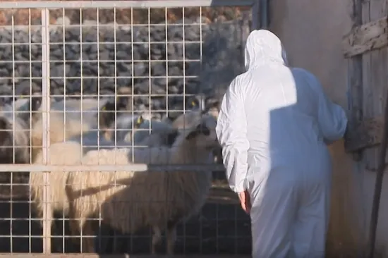 RTL u mjestu gdje je otkrivena kuga: 'Ne mogu se pomiriti s time &scaron;to su napravili'