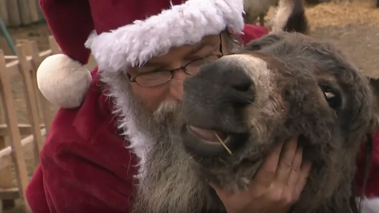 Umjesto gužve, &scaron;talice i životinje: Evo kako obitelj Antonović organizira autentični 'advnetić'