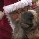 Umjesto gužve, &scaron;talice i životinje: Evo kako obitelj Antonović organizira autentični 'advnetić'