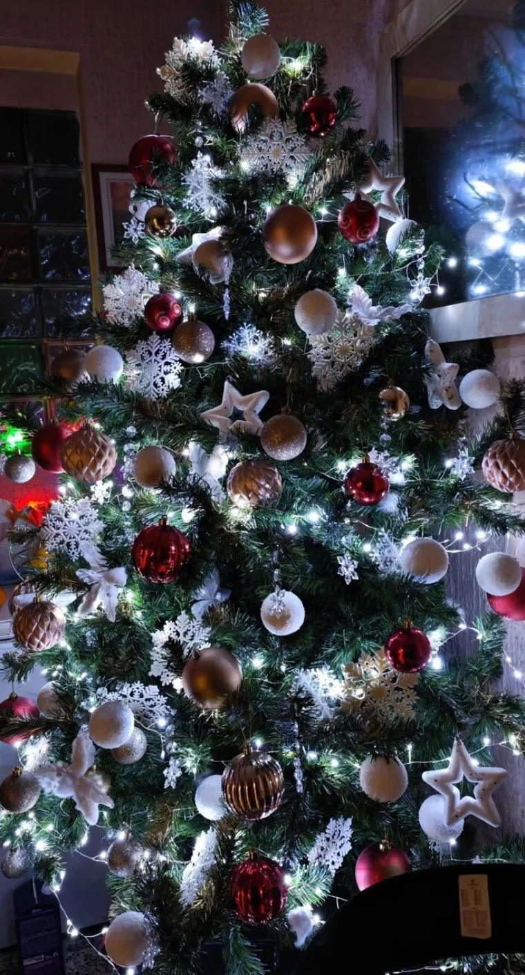 Va&scaron;e jelke odu&scaron;evljavaju žiri, pa čak i Baku Mraz: 'Kao u božićnom ljubavnom filmu'