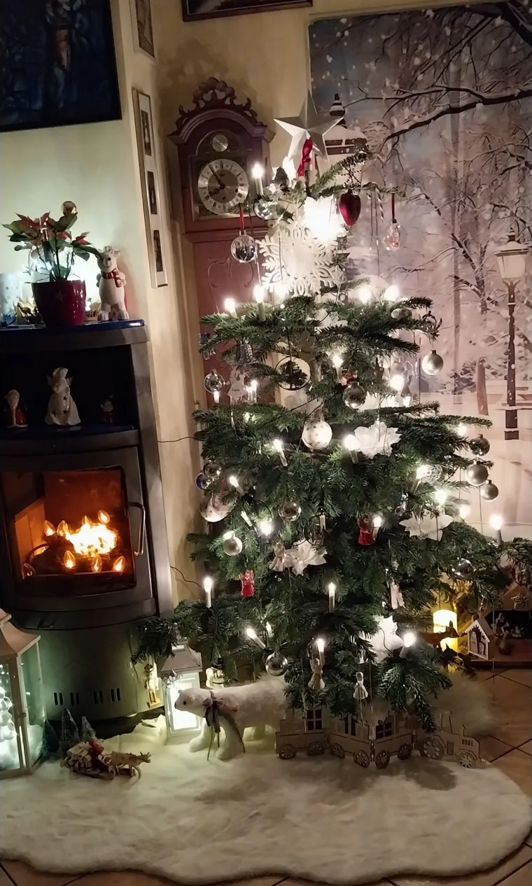 Va&scaron;e jelke odu&scaron;evljavaju žiri, pa čak i Baku Mraz: 'Kao u božićnom ljubavnom filmu'