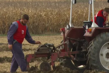 Mladi poljoprivrednici iz Hrvatske po broju iznad prosjeka EU-e: Očekuju se veća ulaganja
