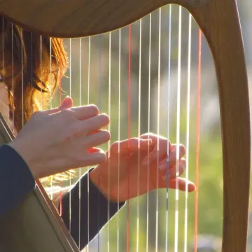 [KVIZ] Jesi li poznavatelj žičanih glazbala?