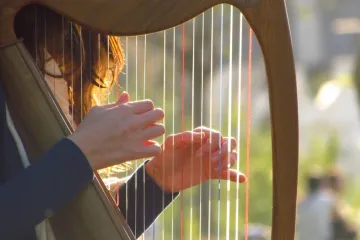 [KVIZ] Jesi li poznavatelj žičanih glazbala?