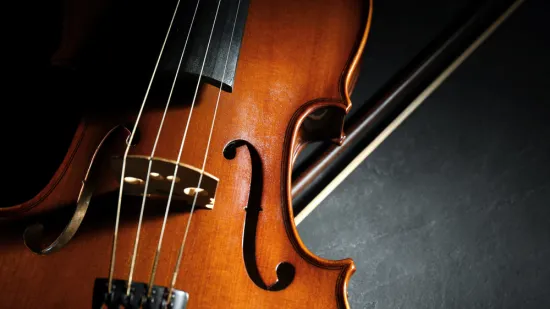 [KVIZ] Jesi li poznavatelj gudačkih glazbala?