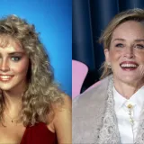 Sharon Stone nekad i danas: Postala seks simbol, naglo oboljela pa se vratila jača nego ikad