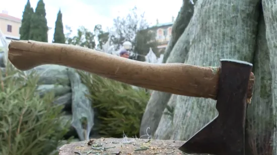 Smreke od 15, a jelka čak 1800 eura, no građani su svjesni onoga &scaron;to se novcem ne može kupiti