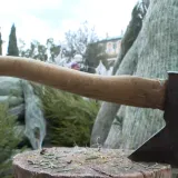 Smreke od 15, a jelka čak 1800 eura, no građani su svjesni onoga &scaron;to se novcem ne može kupiti