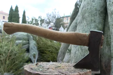 Smreke od 15, a jelka čak 1800 eura, no građani su svjesni onoga &scaron;to se novcem ne može kupiti