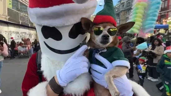 Pseće pivo i smoothie: I 'dlakavci' dobivaju poklone, neki izdvajaju i ozbiljne iznose