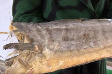 Blagdanski stolovi ostaju bez Zvijezde Badnjaka! Kakva je cijena, i ne čudI