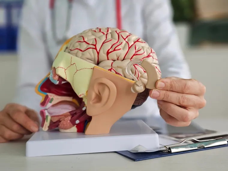 Jednostavne životne navike koje mogu pomladiti mozak za čak osam godina