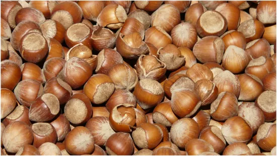 Vanilin kiflice od lje&scaron;njaka: Recept za najprhkije blagdanske kolačiće koji se tope u ustima