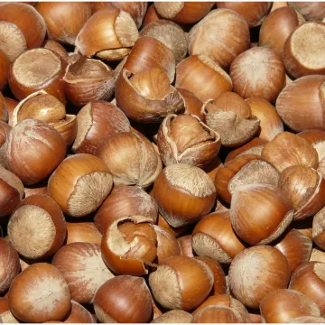 Vanilin kiflice od lje&scaron;njaka: Recept za najprhkije blagdanske kolačiće koji se tope u ustima