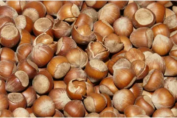 Vanilin kiflice od lje&scaron;njaka: Recept za najprhkije blagdanske kolačiće koji se tope u ustima