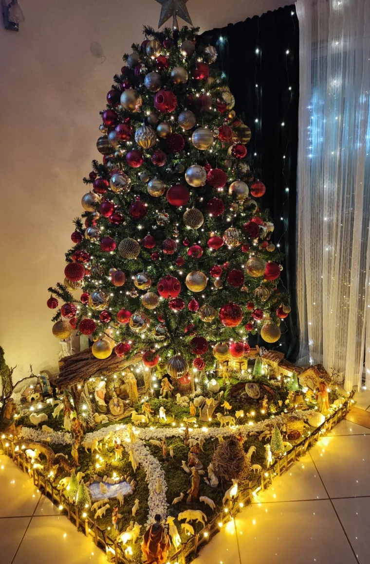 Božićna jelko-manija se nastavlja: 'Ooo, ovo je pravo zimsko čudo!'