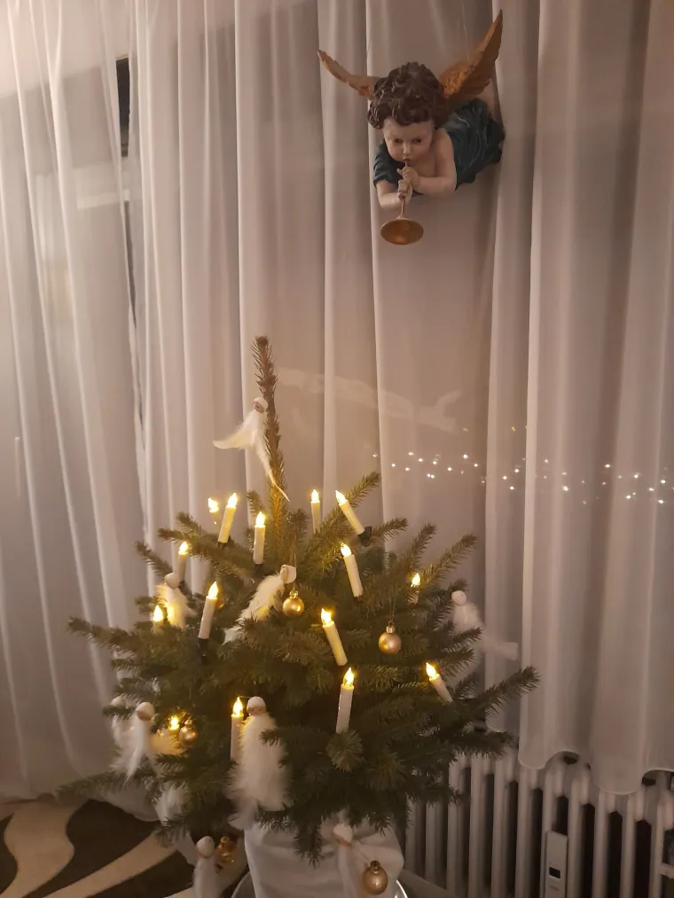 Božićna jelko-manija se nastavlja: 'Ooo, ovo je pravo zimsko čudo!'