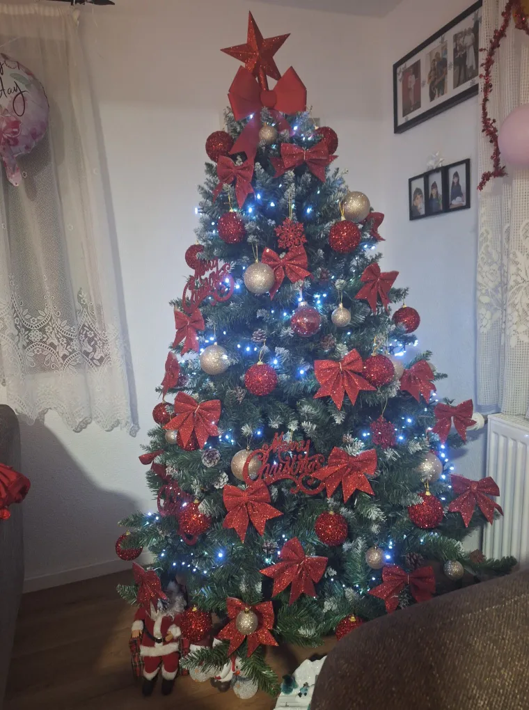 Božićna jelko-manija se nastavlja: 'Ooo, ovo je pravo zimsko čudo!'