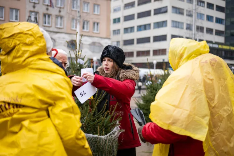 Danska drvca preplavila Hrvatsku: Evo tko nam prodaje Božić i za&scaron;to kupujemo najskuplje