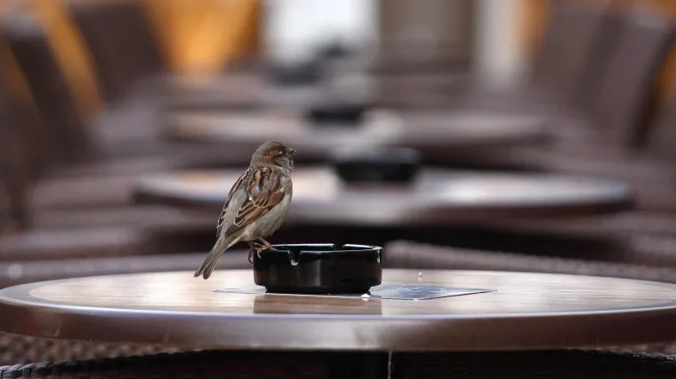 Od Nove godine stiže novo poskupljenje cigareta i duhana! Znamo i za koliko