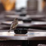 Od Nove godine stiže novo poskupljenje cigareta i duhana! Znamo i za koliko