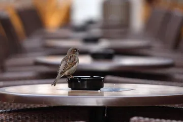 Od Nove godine stiže novo poskupljenje cigareta i duhana! Znamo i za koliko