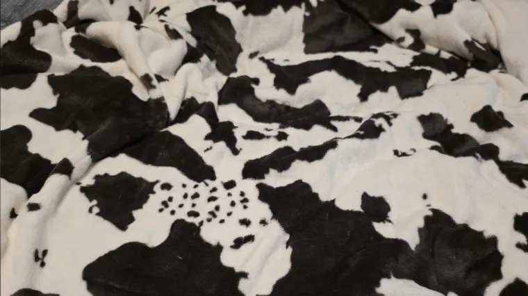 Preslatka mačka savr&scaron;eno se stopila s okolinom: Mnogi je nisu uspjeli pronaći, možete li vi?