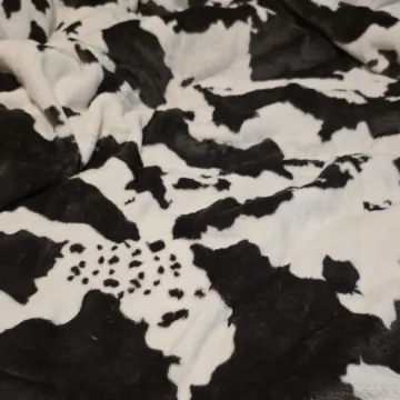 Preslatka mačka savr&scaron;eno se stopila s okolinom: Mnogi je nisu uspjeli pronaći, možete li vi?