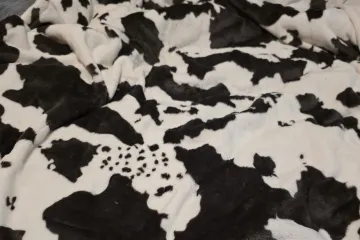 Preslatka mačka savr&scaron;eno se stopila s okolinom: Mnogi je nisu uspjeli pronaći, možete li vi?