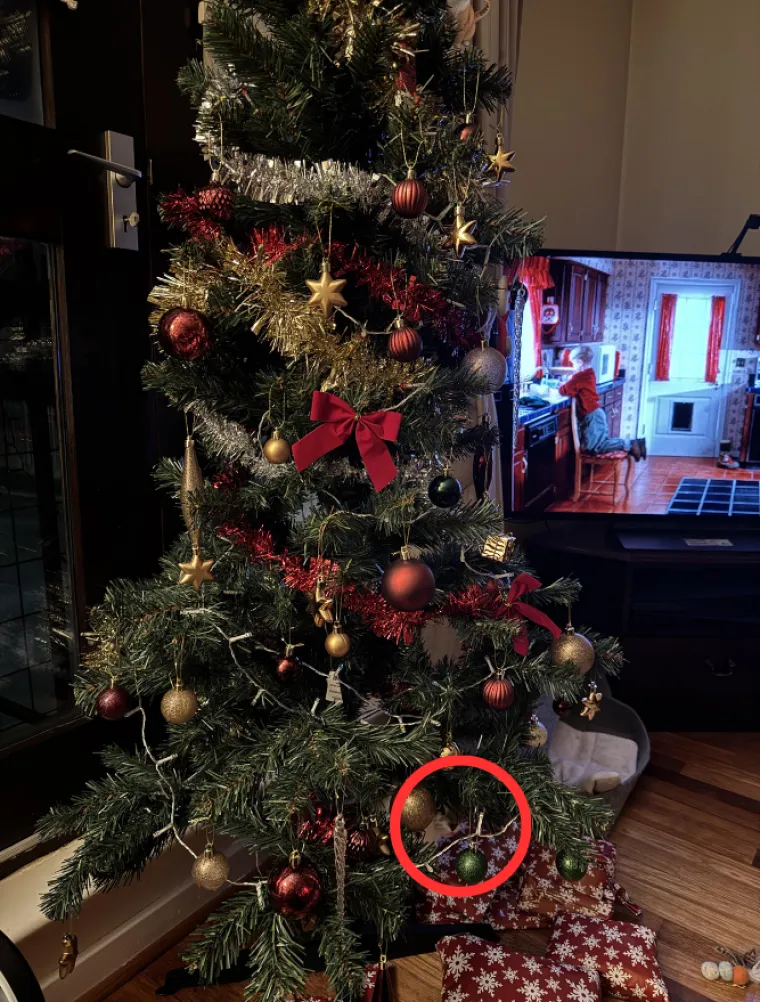 Ovaj zadatak zbunio je brojne korisnike: Ako vi uspijete vidjeti mačku, pravi ste detektivi