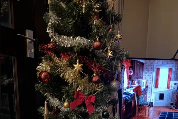 Ovaj zadatak zbunio je brojne korisnike: Ako vi uspijete vidjeti mačku, pravi ste detektivi