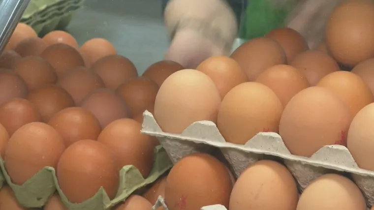 Ako ste kupili ova domaća jaja, nemojte ih jesti! Opozvana su zbog salmonele