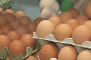 Ako ste kupili ova domaća jaja, nemojte ih jesti! Opozvana su zbog salmonele