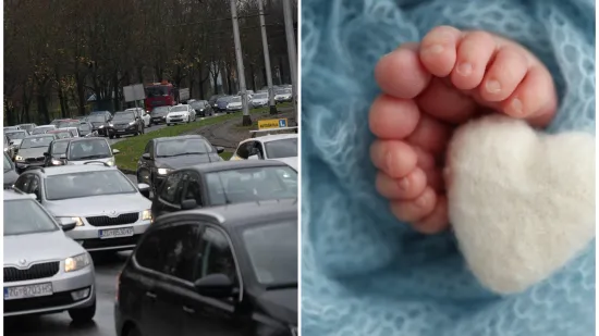 Hrvatima draži limeni ljubimci nego djeca? Izgleda da nas jedino imigranti mogu spasiti