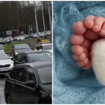 Hrvatima draži limeni ljubimci nego djeca? Izgleda da nas jedino imigranti mogu spasiti