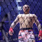 Vaso je zvijezda kakve nema: Redari se guraju za fotografiju s jedinim Psihom