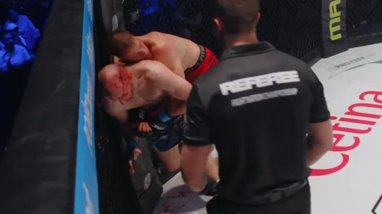 FNC 26 - Hrvat u makljaži godine Srbinu otvorio glavu, krvi kao u priči