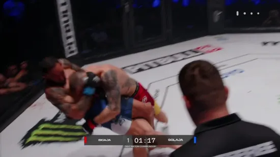 Sičaja primio udarac, iza&scaron;ao pa brutalno uzvratio