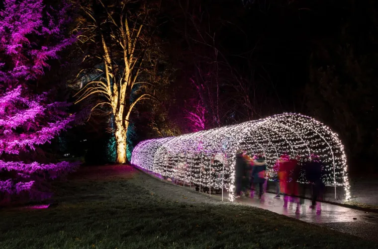 Stručnjak za NLO otkriva za&scaron;to je veća vjerojatnost da ćete za Božić vidjeti 'izvanzemaljca'