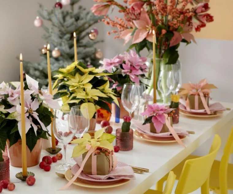 Pokloni s cvatućim božićnim zvijezdama