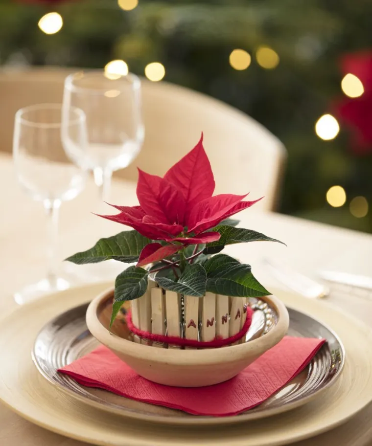 Svestrani božićni ukrasi s božićnim zvijezdama