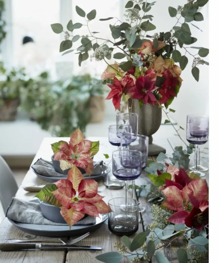 Svestrani božićni ukrasi s božićnim zvijezdama