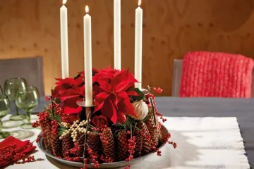 Svestrani božićni ukrasi s božićnim zvijezdama